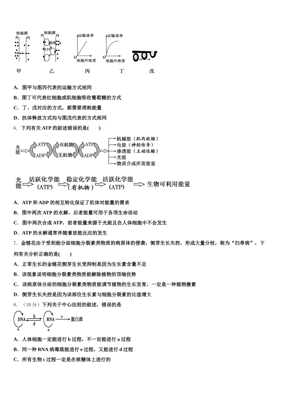 内蒙古喀喇沁旗锦山蒙古族中学2024-2025学年高一下生物期末考试模拟试题含解析_第2页