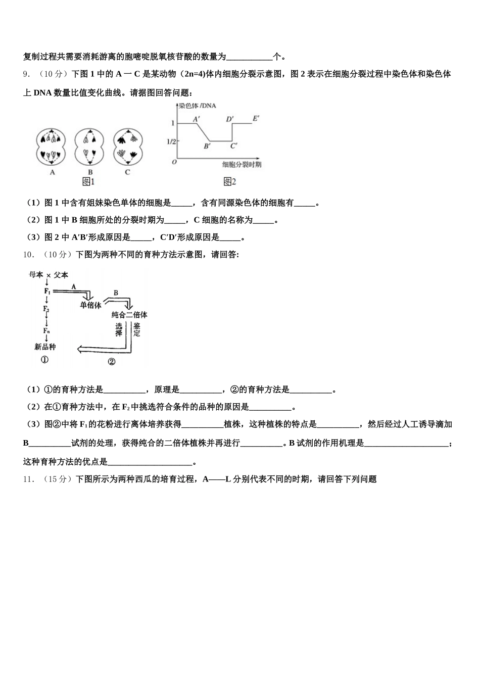 2025届内蒙古呼和浩特市土默特左旗第一中学高一下生物期末质量检测试题含解析_第3页