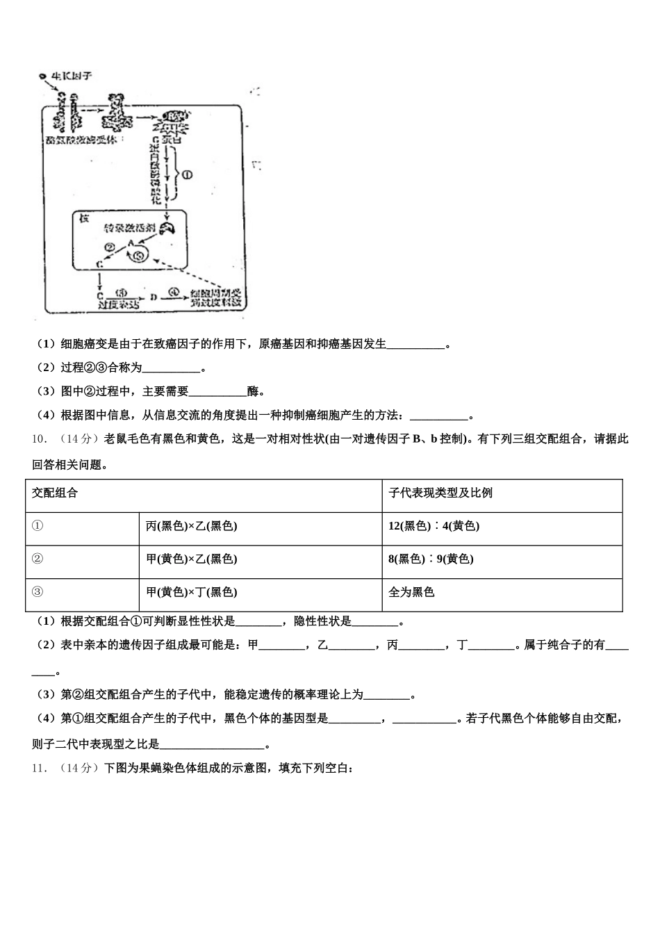 内蒙古自治区平煤高级中学、元宝山一中2024-2025学年生物高一下期末复习检测模拟试题含解析_第3页
