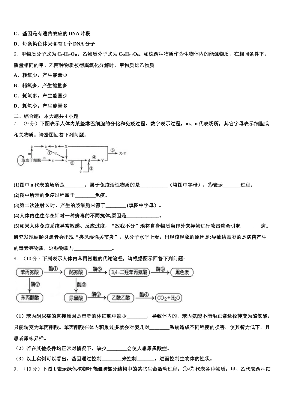 2025届内蒙古赤峰市、呼和浩特市校际联考高一下生物期末统考模拟试题含解析_第2页