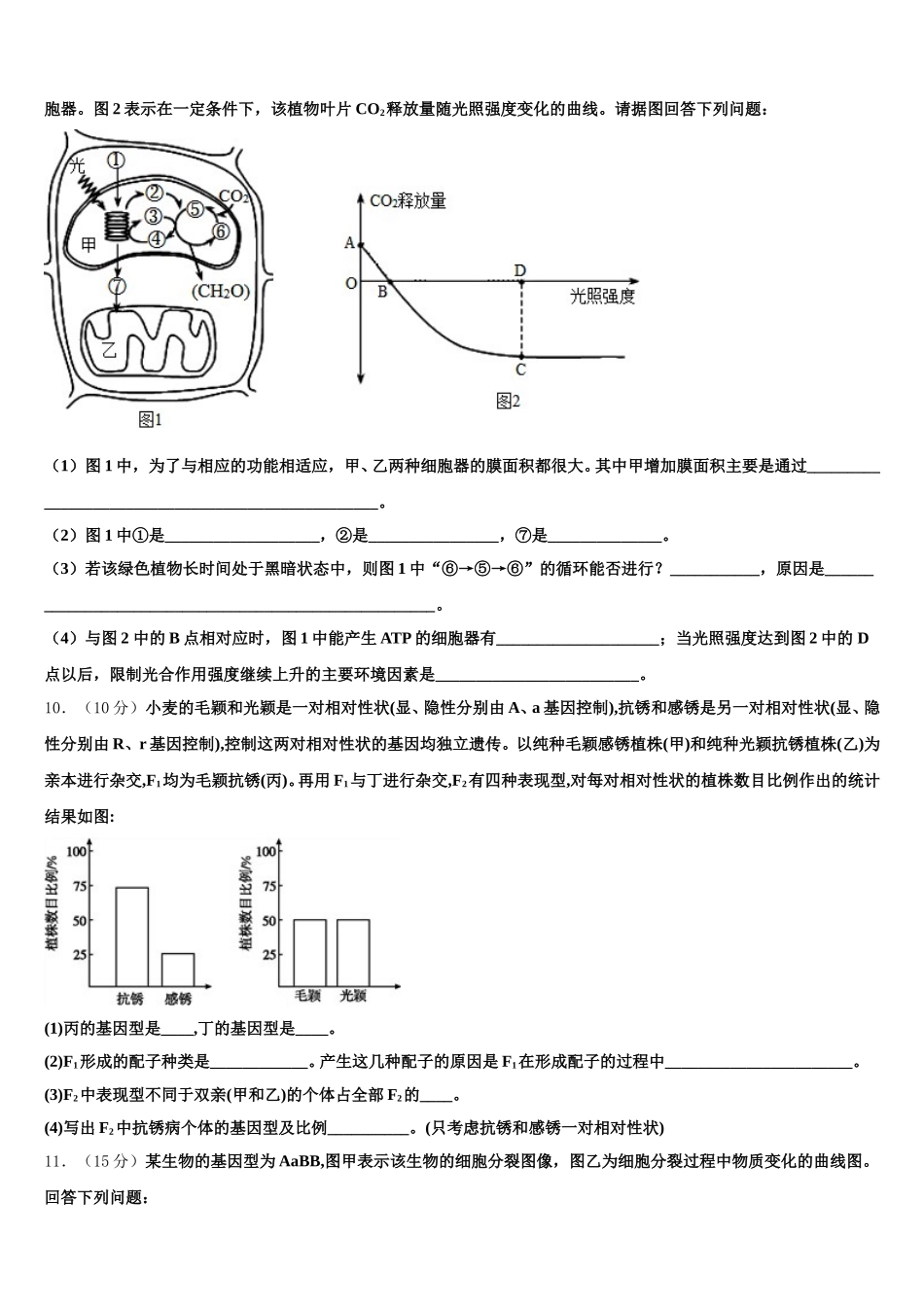 2025届内蒙古赤峰市、呼和浩特市校际联考高一下生物期末统考模拟试题含解析_第3页