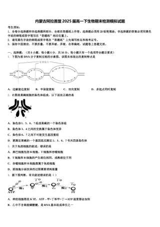 内蒙古阿拉善盟2025届高一下生物期末检测模拟试题含解析