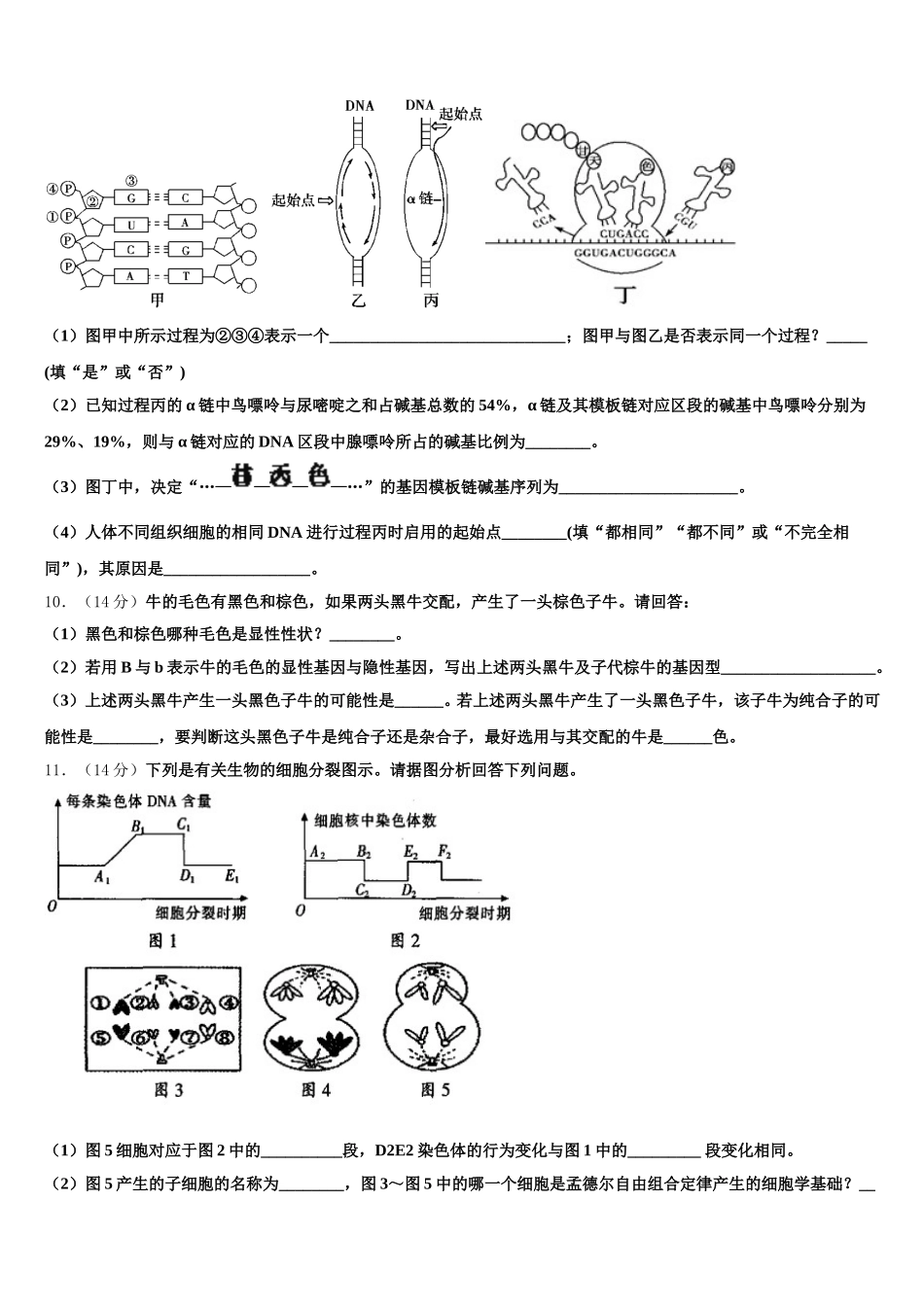 内蒙古乌海市2025届高一下生物期末经典模拟试题含解析_第3页