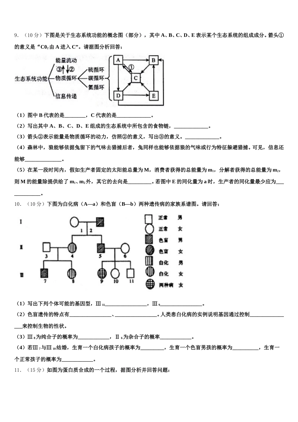 2025年内蒙古呼伦贝尔市阿荣旗一中生物高一下期末联考模拟试题含解析_第3页