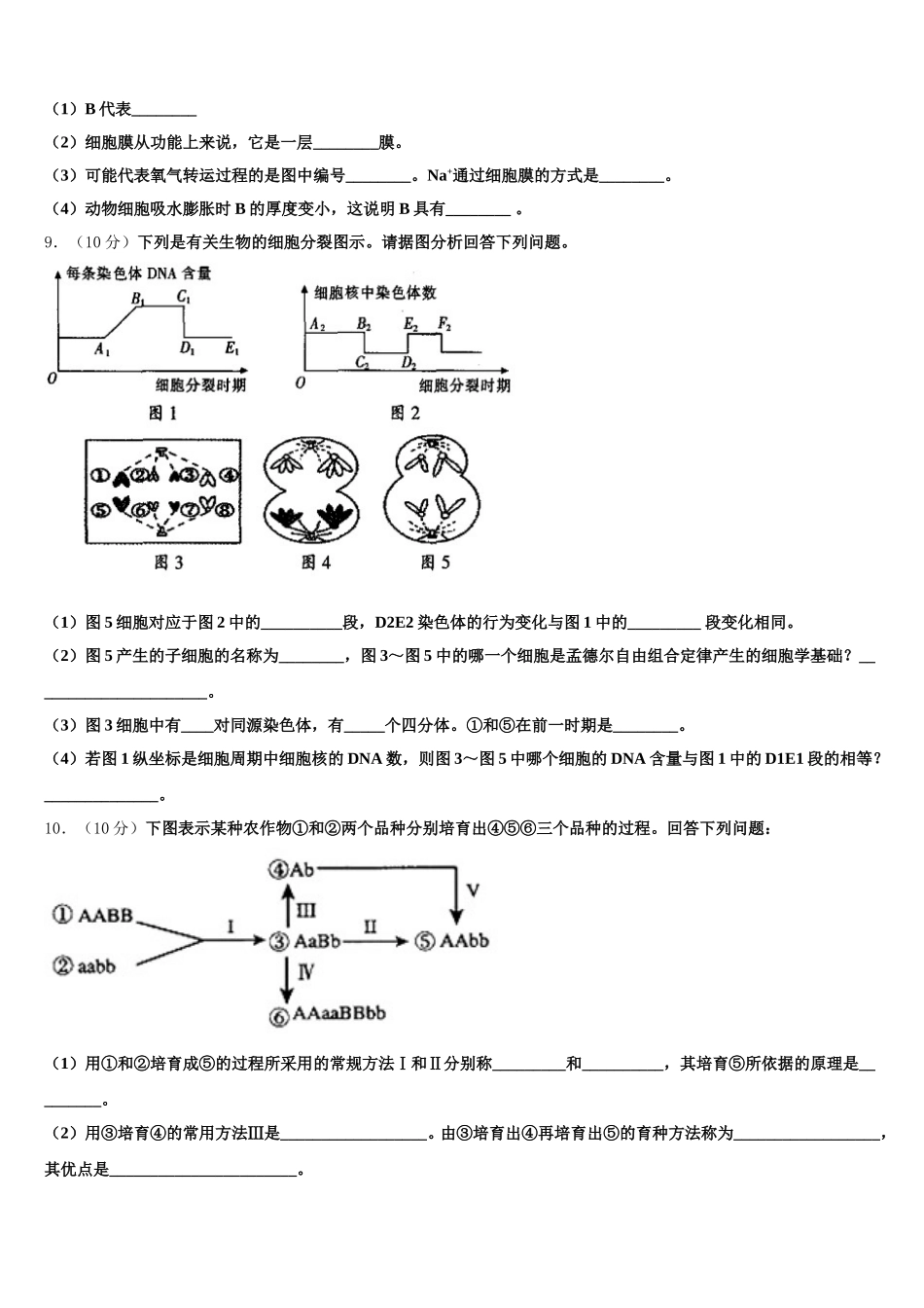 内蒙古自治区五原县第一中学2025届高一下生物期末综合测试试题含解析_第3页
