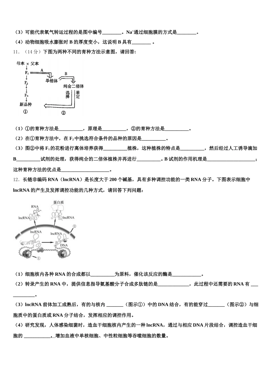 2024-2025学年内蒙古巴彦淖尔一中生物高一第二学期期末综合测试模拟试题含解析_第3页
