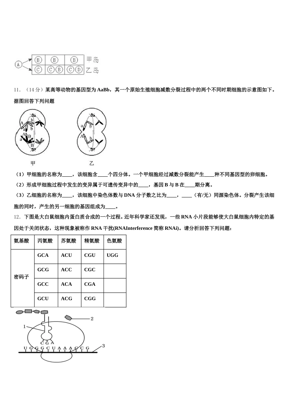 内蒙古师范大学附属中学2025年高一下生物期末质量跟踪监视试题含解析_第3页