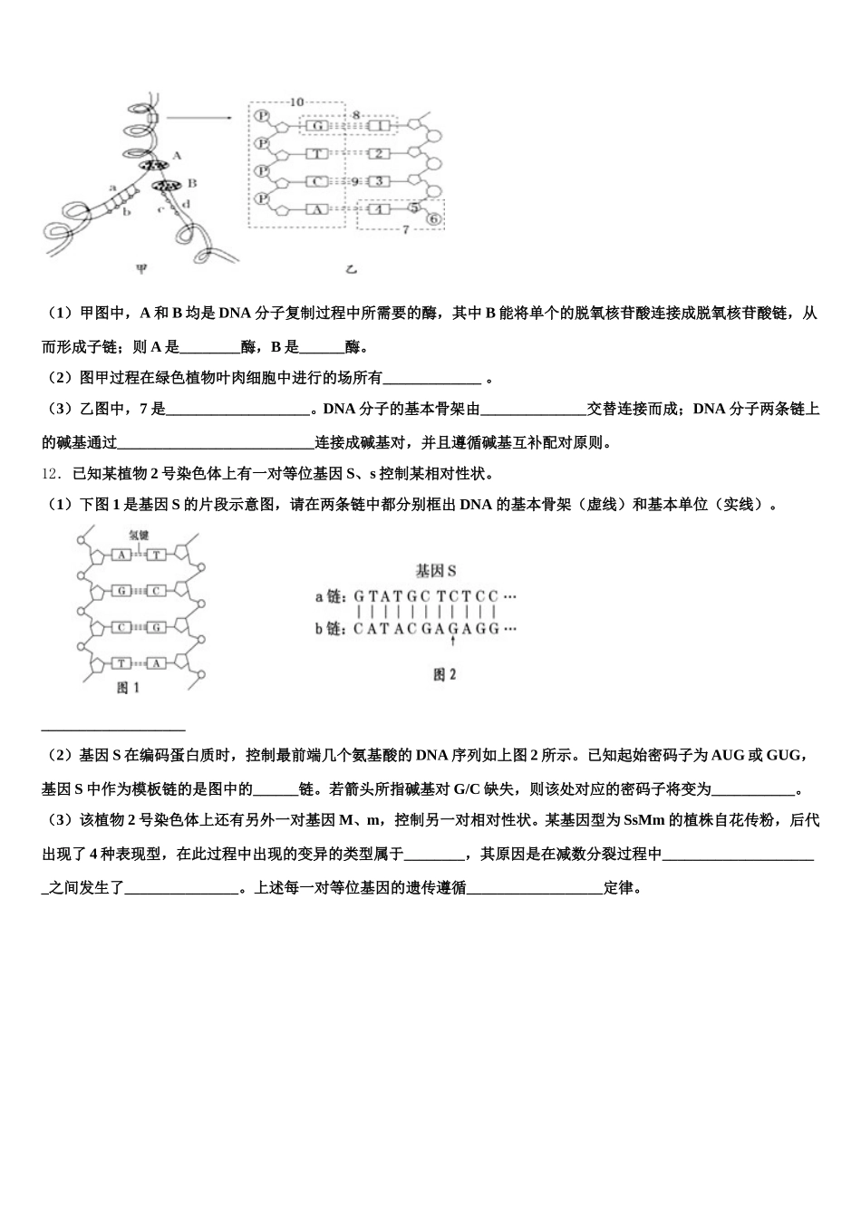 山西省临汾一中、晋城一中、内蒙古鄂尔多斯一中等六校2025届高一下生物期末监测试题含解析_第3页