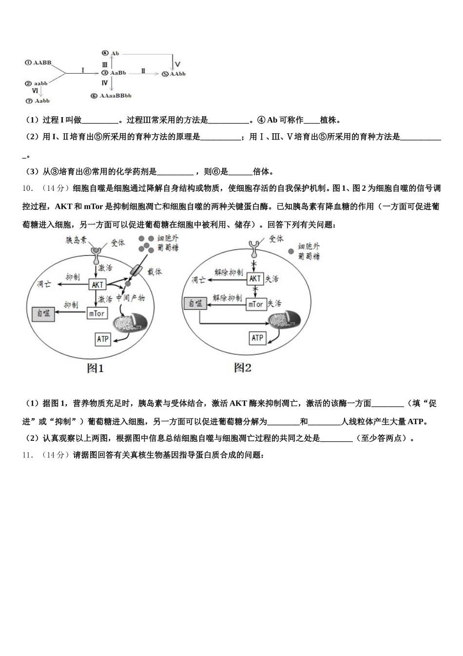 2025年内蒙古锡林郭勒市生物高一下期末学业质量监测模拟试题含解析_第3页