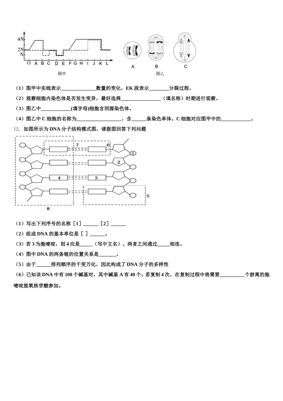 乌海市重点中学2025年高一生物第二学期期末教学质量检测模拟试题含解析_第3页