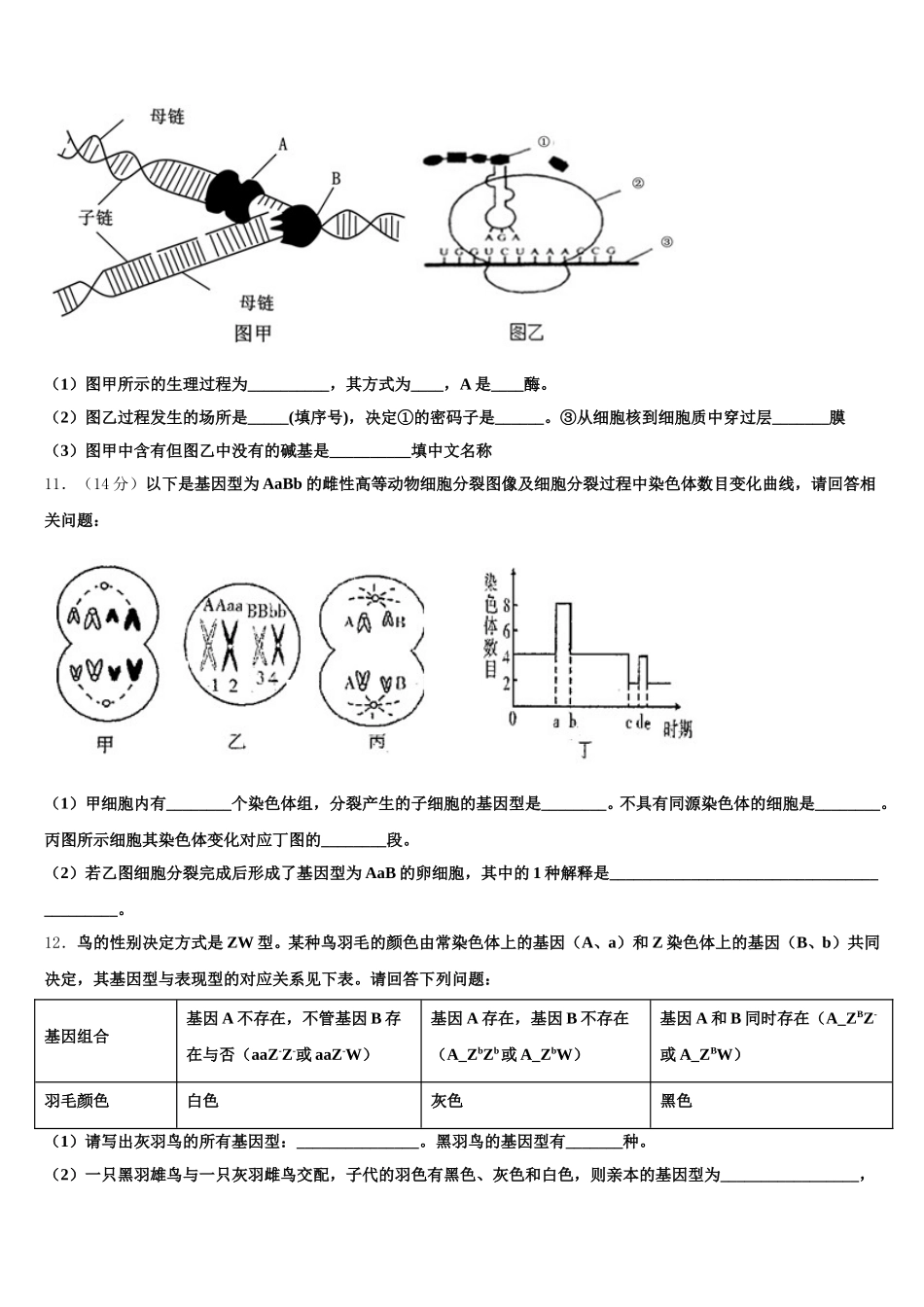 内蒙古自治区第一机械制造有限公司第一中学2025年生物高一下期末监测试题含解析_第3页