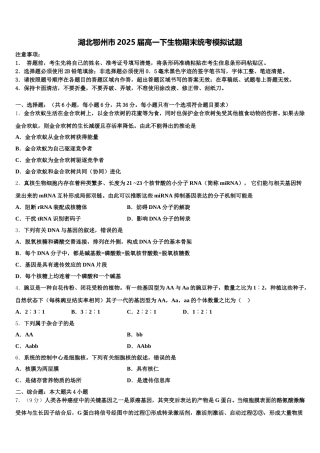 湖北鄂州市2025届高一下生物期末统考模拟试题含解析