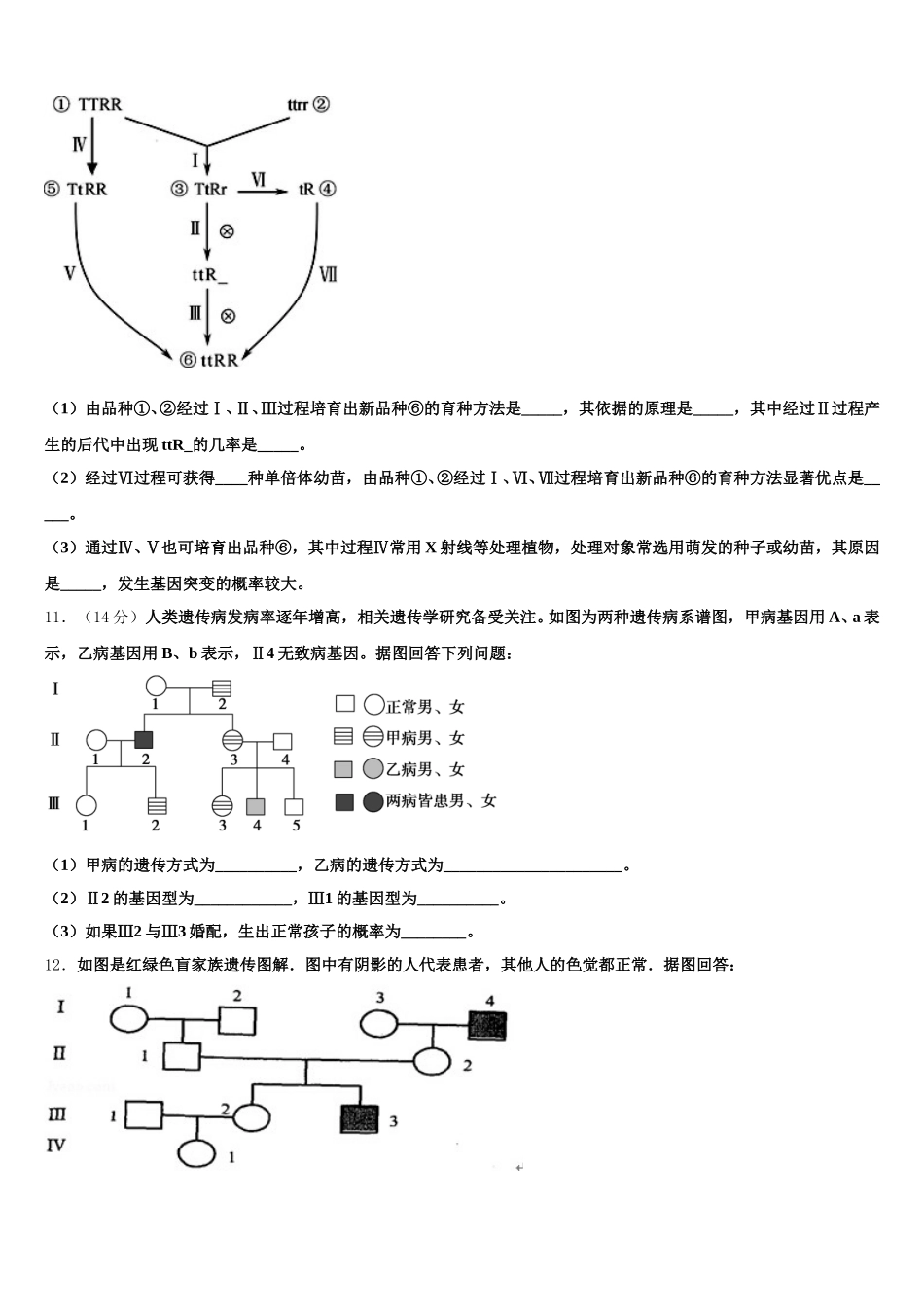 2024-2025学年武昌实验中学高一生物第二学期期末学业水平测试模拟试题含解析_第3页