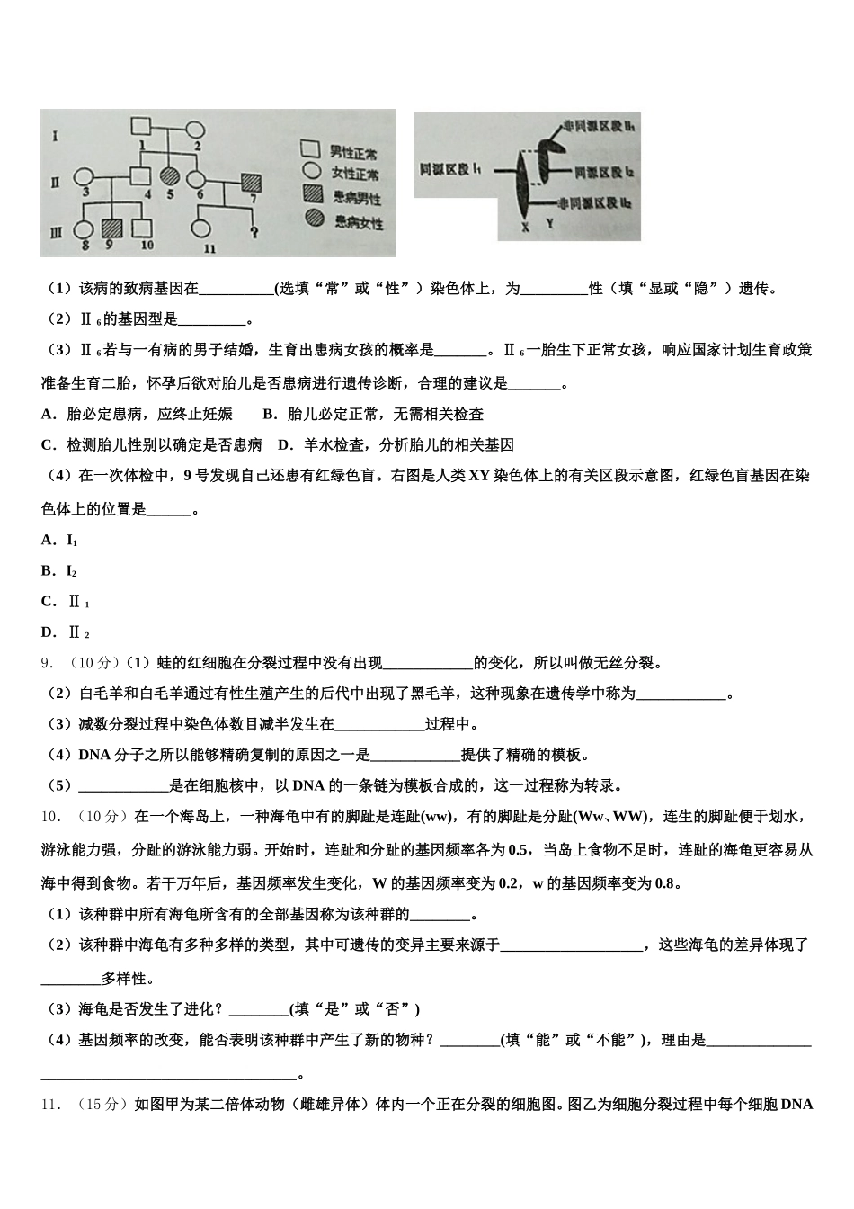 2024-2025学年湖北省麻城市实验高中高一生物第二学期期末调研模拟试题含解析_第3页
