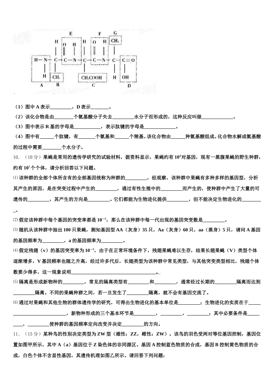 2025届湖北省黄冈实验学校生物高一下期末调研模拟试题含解析_第3页