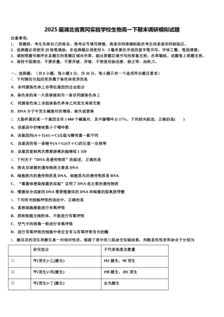 2025届湖北省黄冈实验学校生物高一下期末调研模拟试题含解析