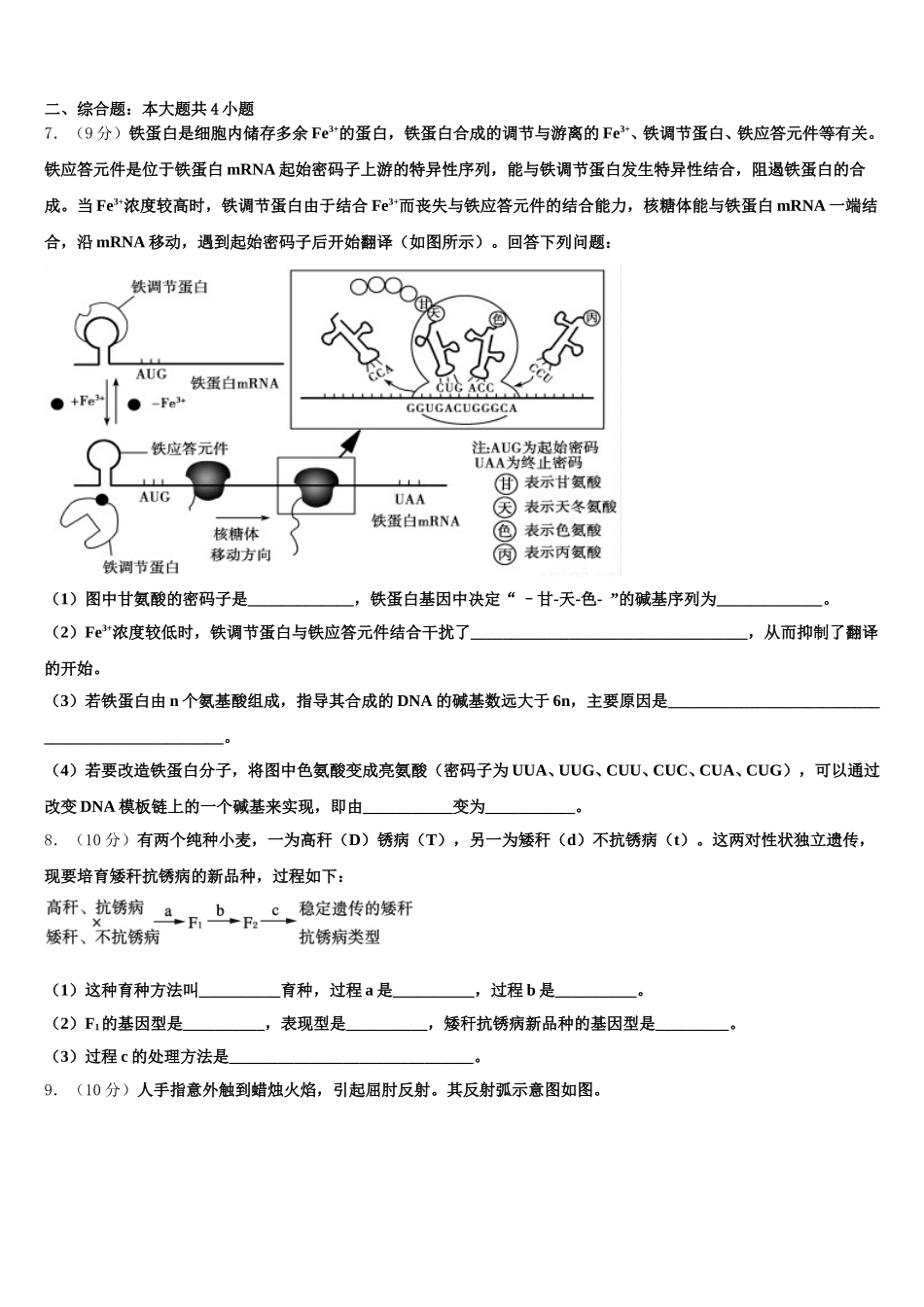 2025年湖北省十堰市生物高一下期末监测模拟试题含解析_第2页