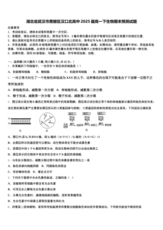 湖北省武汉市黄陂区汉口北高中2025届高一下生物期末预测试题含解析
