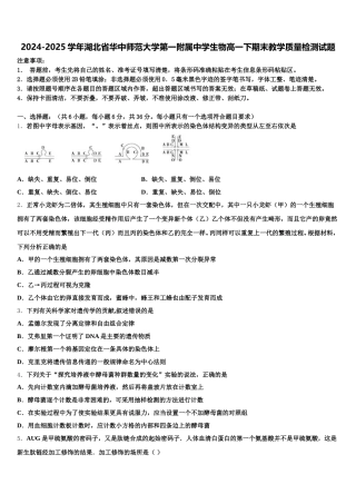 2024-2025学年湖北省华中师范大学第一附属中学生物高一下期末教学质量检测试题含解析
