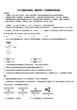 2025届湖北省黄冈、襄阳市高一下生物期末统考试题含解析