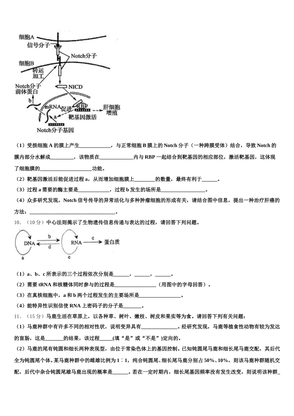 2024-2025学年湖北省武汉市蔡甸区汉阳一中高一下生物期末统考模拟试题含解析_第3页