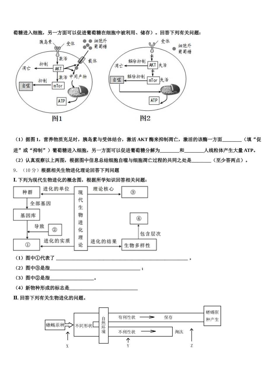 2025届湖北省重点高中联考协作体高一生物第二学期期末复习检测试题含解析_第3页