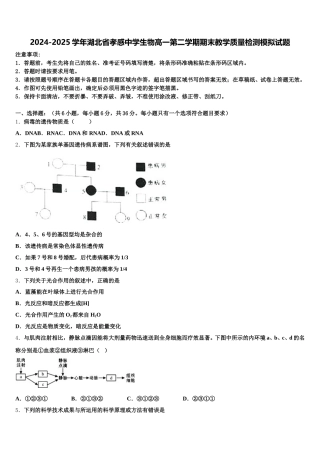 2024-2025学年湖北省孝感中学生物高一第二学期期末教学质量检测模拟试题含解析