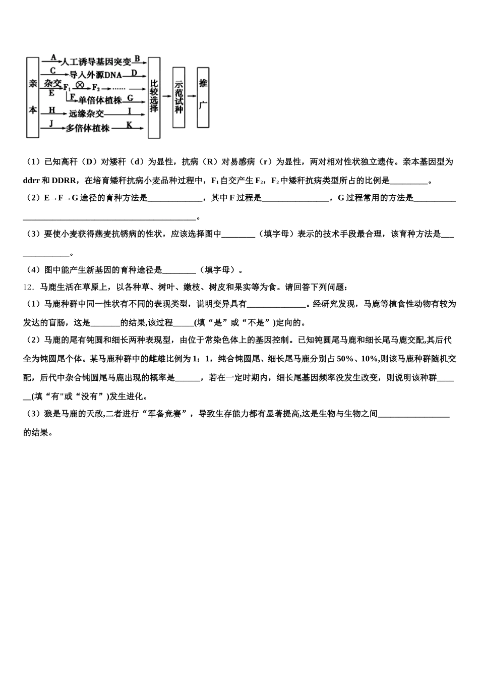 湖北省黄冈高级中学2025届生物高一下期末学业水平测试模拟试题含解析_第3页