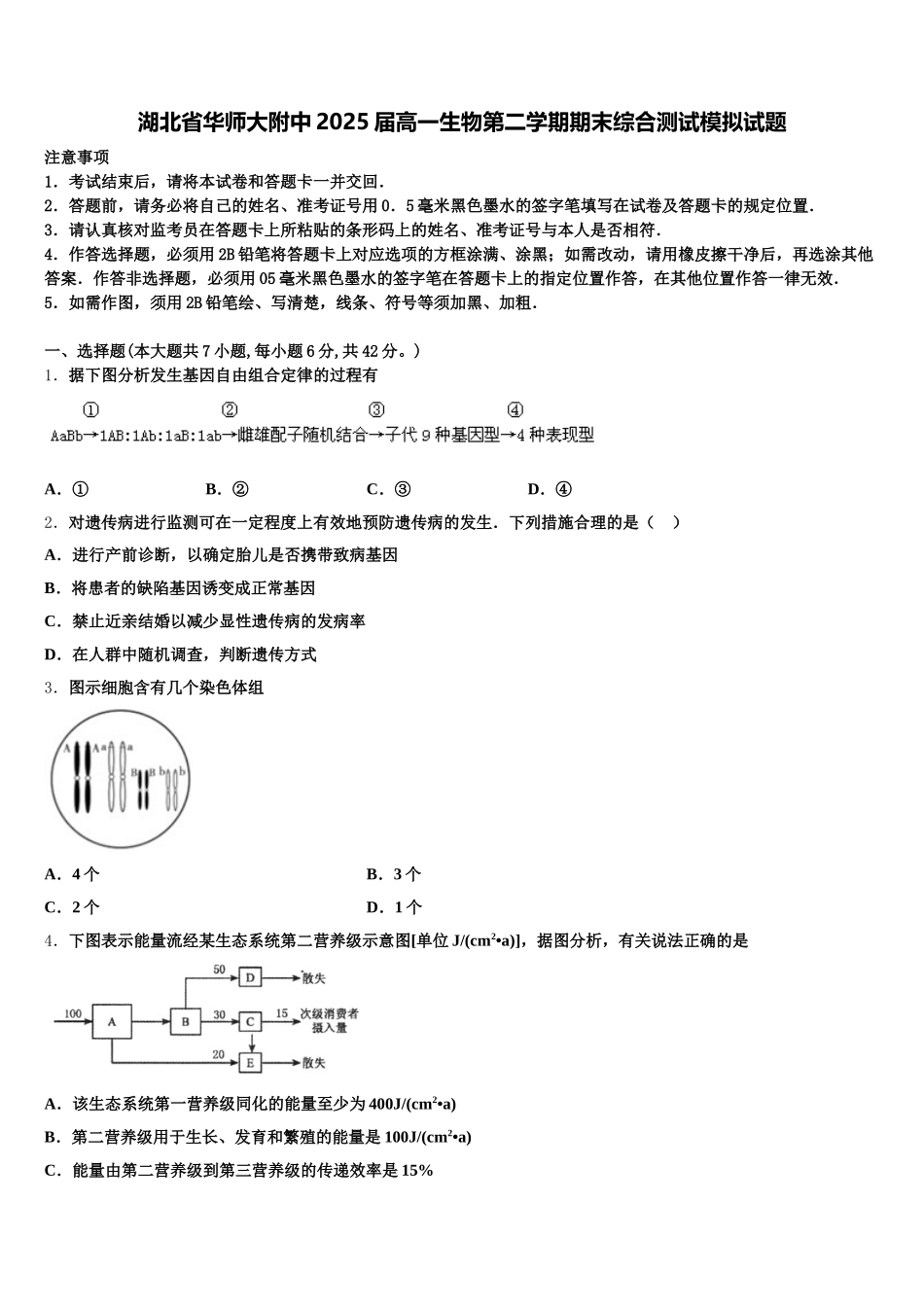 湖北省华师大附中2025届高一生物第二学期期末综合测试模拟试题含解析_第1页