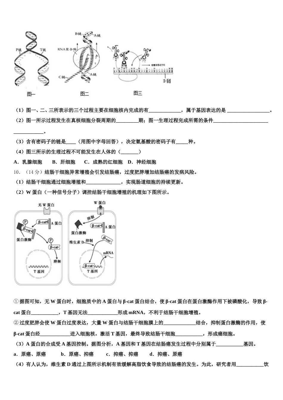 湖北省华师大附中2025届高一生物第二学期期末综合测试模拟试题含解析_第3页