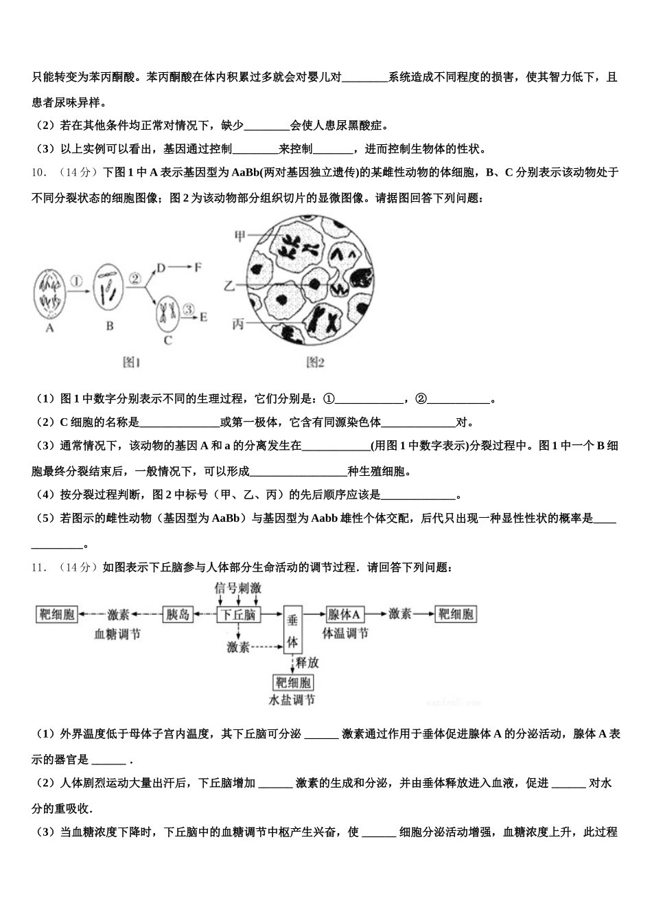 2025届湖北省襄阳第四中学生物高一第二学期期末达标测试试题含解析_第3页
