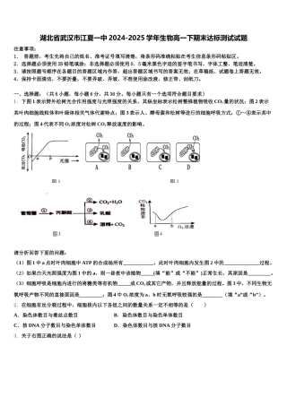 湖北省武汉市江夏一中2024-2025学年生物高一下期末达标测试试题含解析