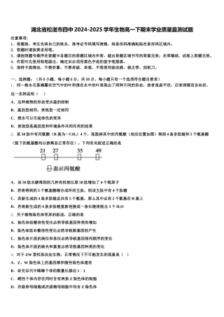 湖北省松滋市四中2024-2025学年生物高一下期末学业质量监测试题含解析