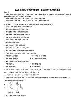 2025届湖北省高中联考生物高一下期末复习检测模拟试题含解析