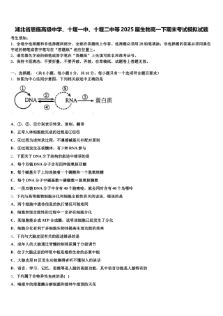 湖北省恩施高级中学、十堰一中、十堰二中等2025届生物高一下期末考试模拟试题含解析