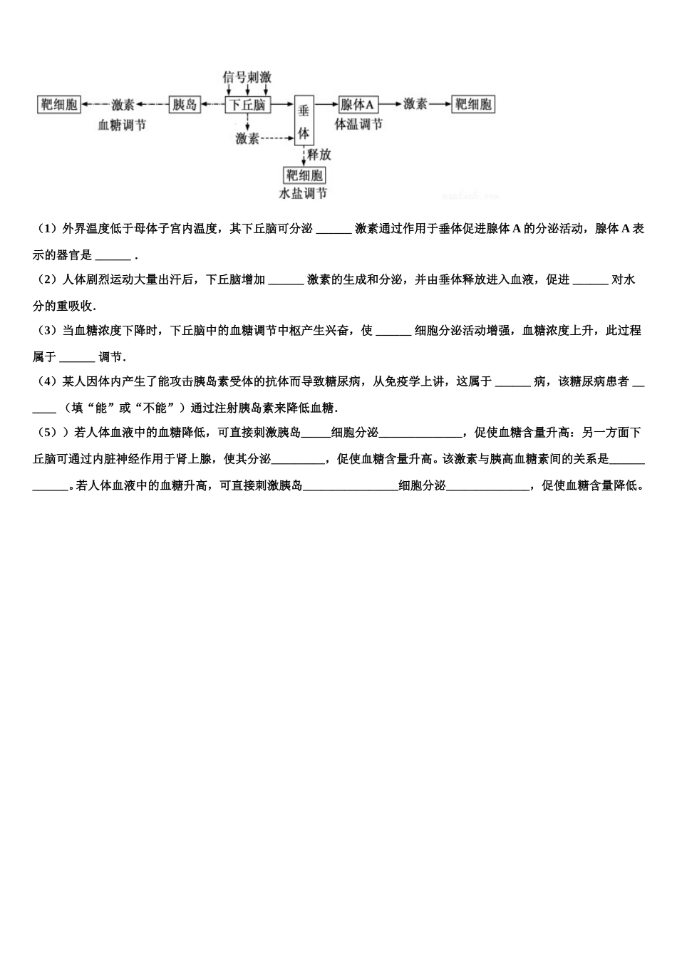 湖北省武汉市常青第一中学2024-2025学年高一生物第二学期期末达标检测模拟试题含解析_第3页