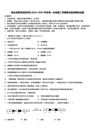 湖北省黄冈实验学校2024-2025学年高一生物第二学期期末监测模拟试题含解析