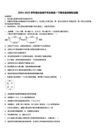 2024-2025学年湖北省咸宁市生物高一下期末监测模拟试题含解析