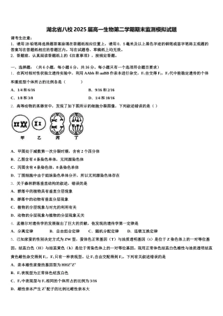 湖北省八校2025届高一生物第二学期期末监测模拟试题含解析