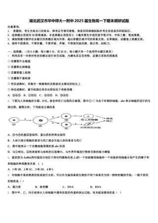 湖北武汉市华中师大一附中2025届生物高一下期末调研试题含解析