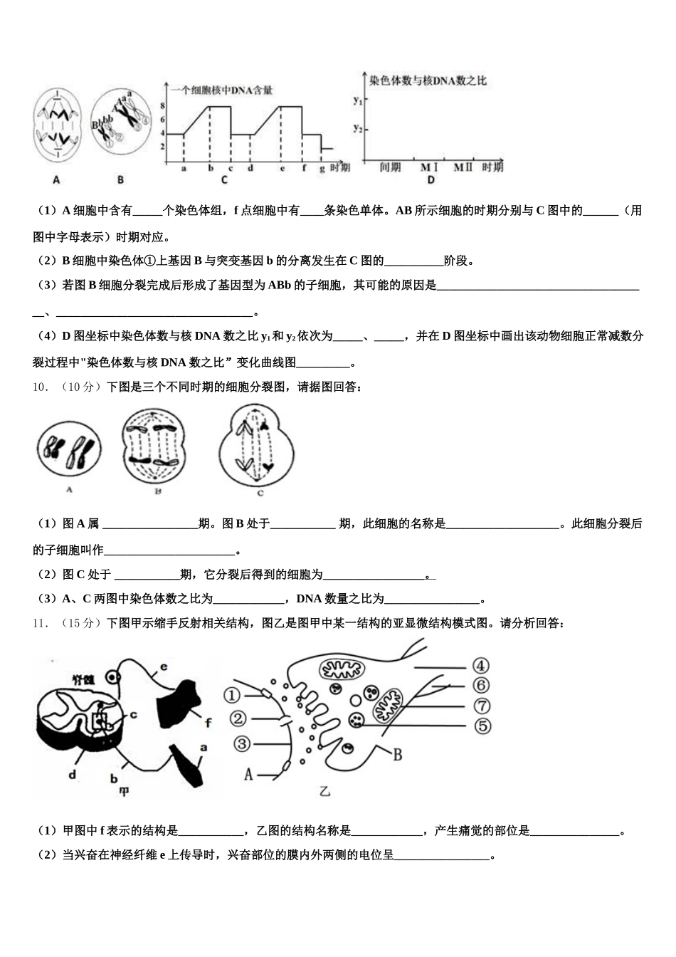 2024-2025学年湖北省黄石市慧德学校生物高一第二学期期末统考试题含解析_第3页
