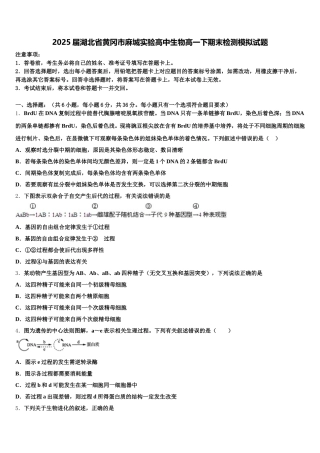 2025届湖北省黄冈市麻城实验高中生物高一下期末检测模拟试题含解析