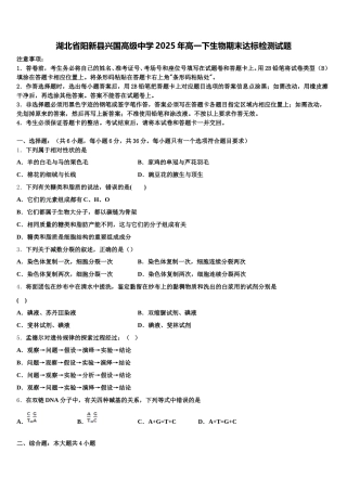 湖北省阳新县兴国高级中学2025年高一下生物期末达标检测试题含解析