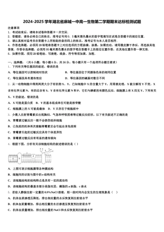 2024-2025学年湖北省麻城一中高一生物第二学期期末达标检测试题含解析