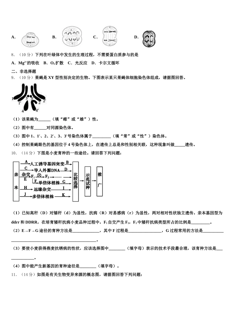 2025届湖北省孝感市汉川市第二中学生物高一第二学期期末综合测试试题含解析_第2页