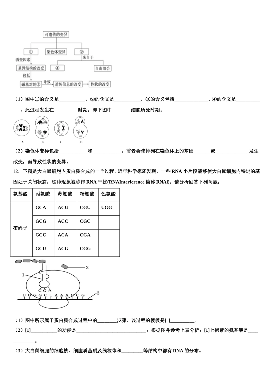 2025届湖北省孝感市汉川市第二中学生物高一第二学期期末综合测试试题含解析_第3页