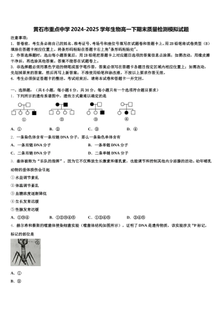 黄石市重点中学2024-2025学年生物高一下期末质量检测模拟试题含解析