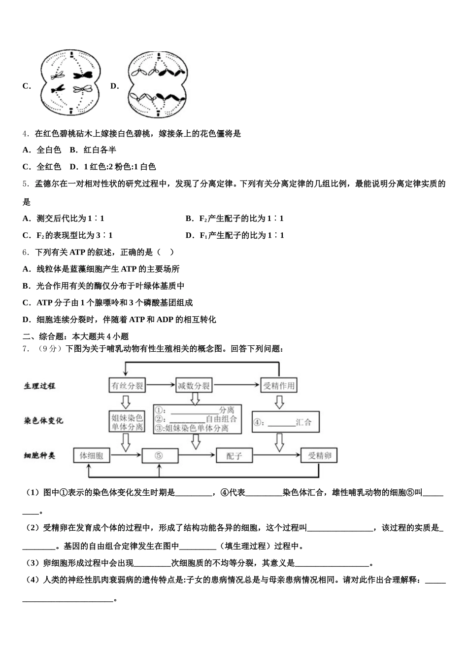 湖北省襄樊市2025年生物高一下期末学业质量监测模拟试题含解析_第2页