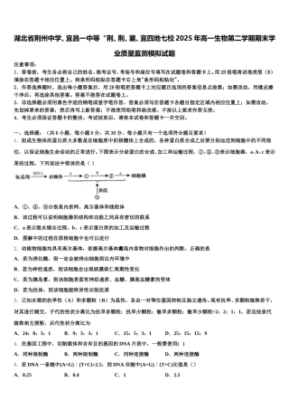湖北省荆州中学、宜昌一中等“荆、荆、襄、宜四地七校2025年高一生物第二学期期末学业质量监测模拟试题含解析