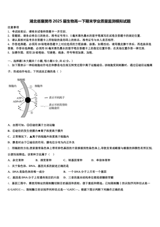 湖北省襄樊市2025届生物高一下期末学业质量监测模拟试题含解析
